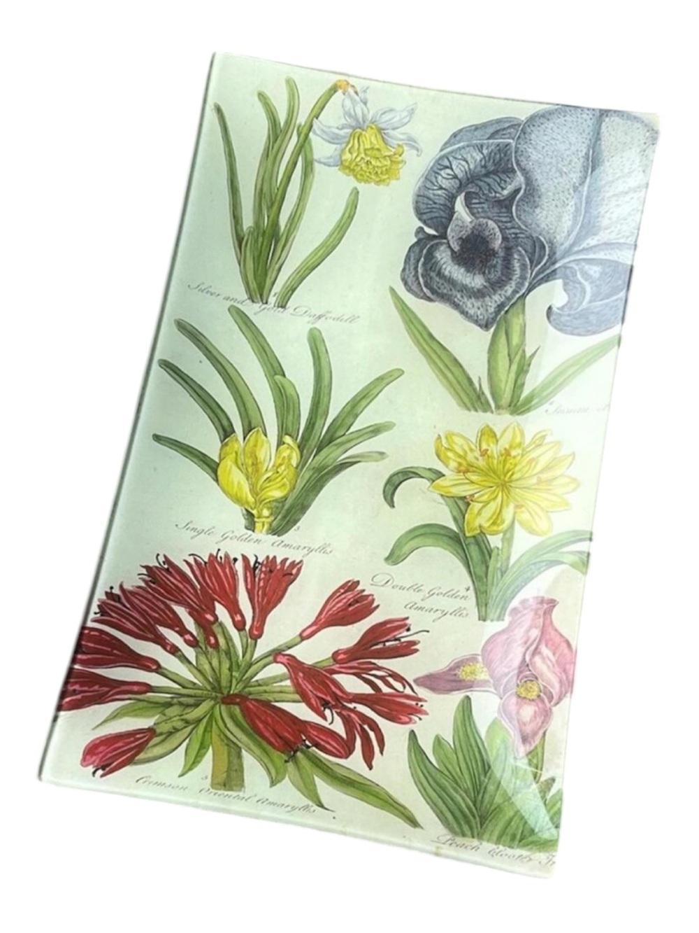 🆕 SIGNED John Derian Floral Print Dish Tray Plate Catch All Design Hanging Art